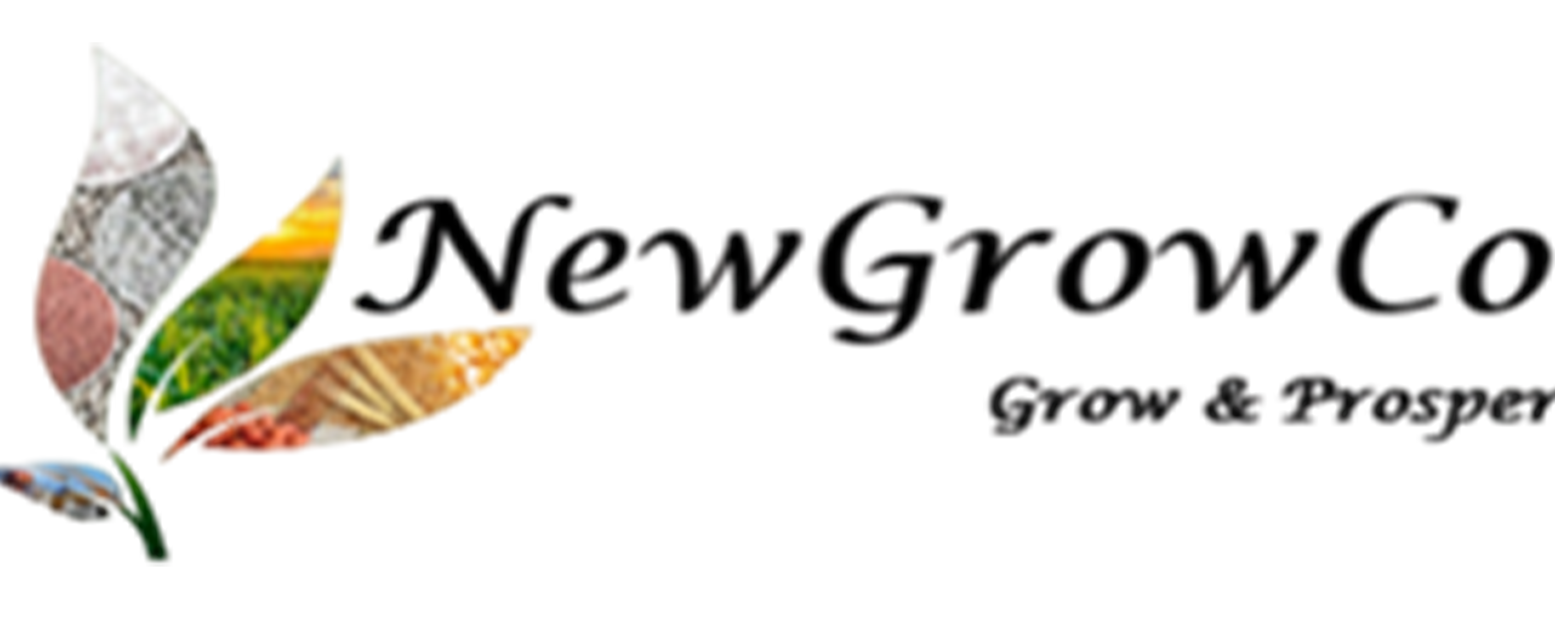 Newgrowco zambia limited