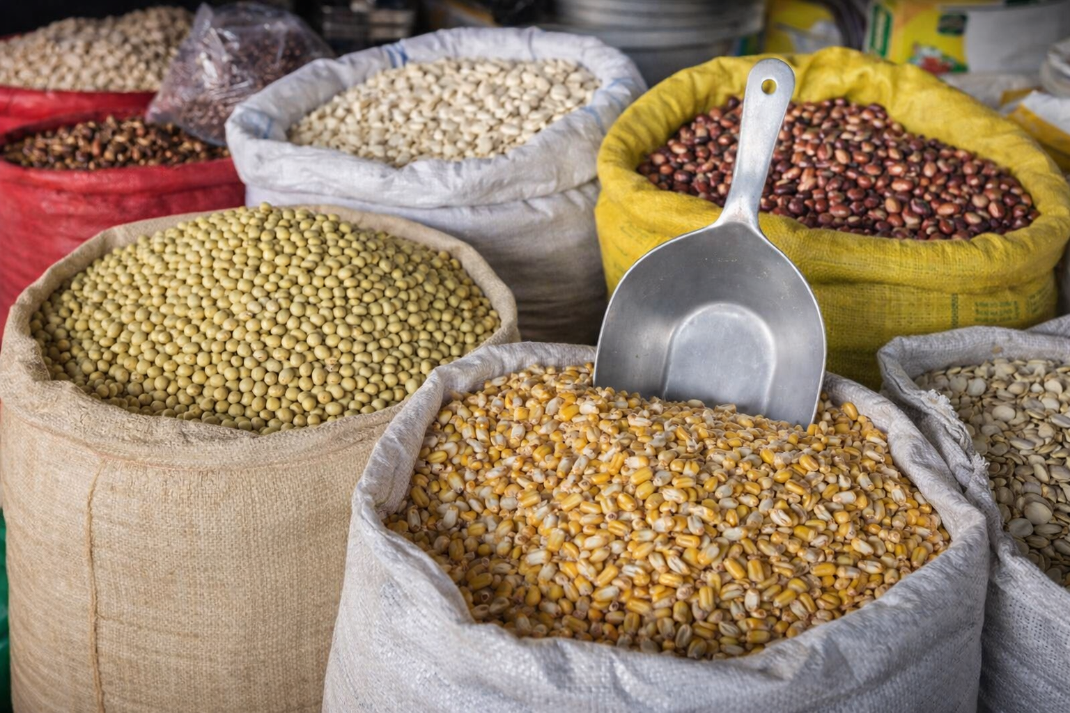 Premium grain – quality and trust