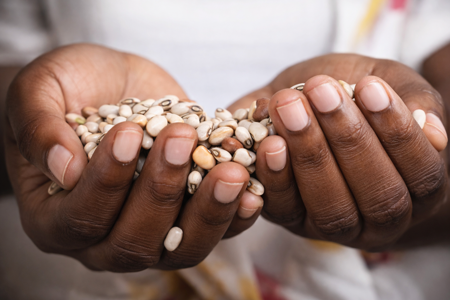 Holding peas – connection to source